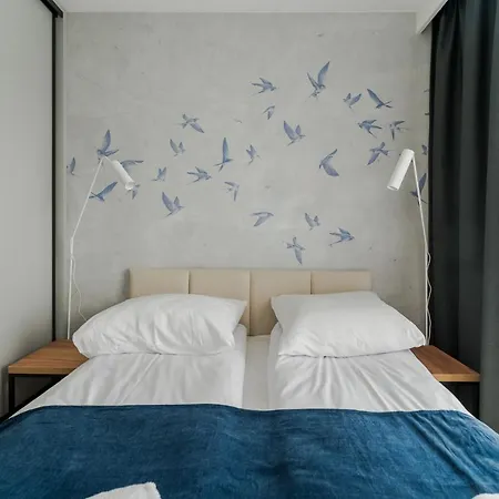 Birds Surfingbird *