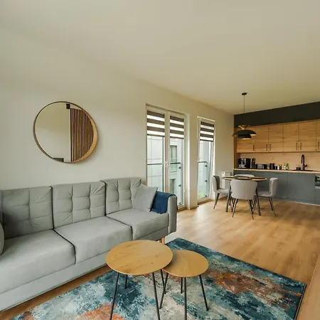 Birds Surfingbird Apartment