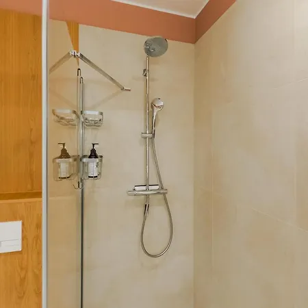 Birds Surfingbird Apartment