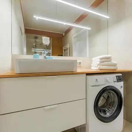 Birds Surfingbird Apartment