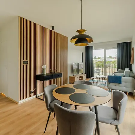 Birds Surfingbird Dzwirzyno