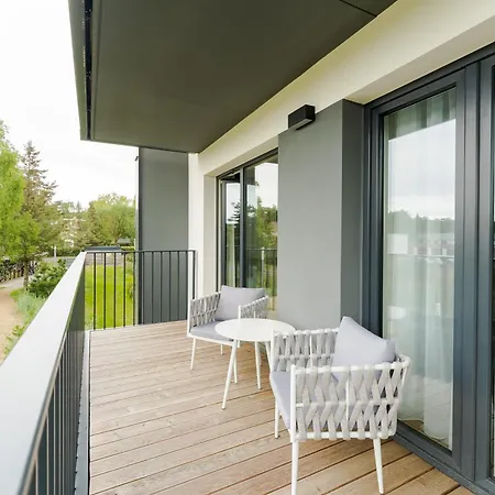 Birds Surfingbird * Dzwirzyno