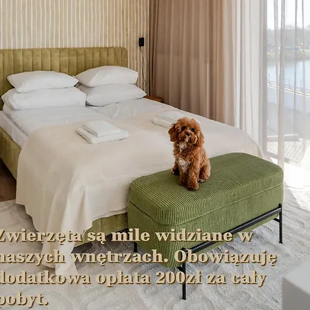 Birds Surfingbird Apartment